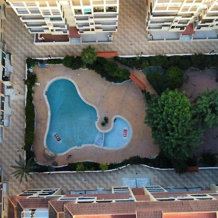 Apartament Studio, La Mata , Torrevieja, Viñamar 3 Exterior foto
